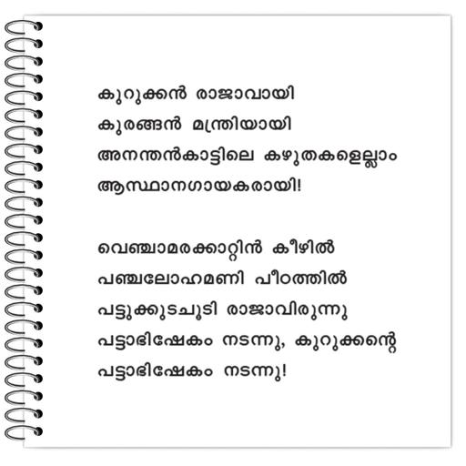 Picture of the product