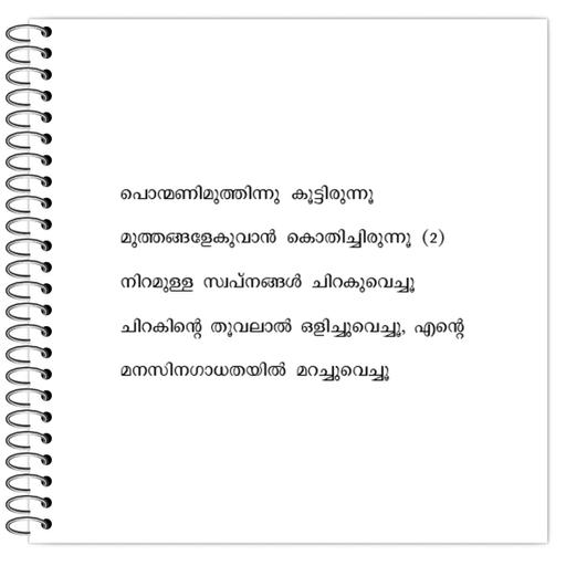 Picture of the product