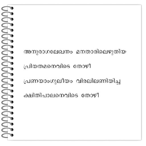 Picture of the product