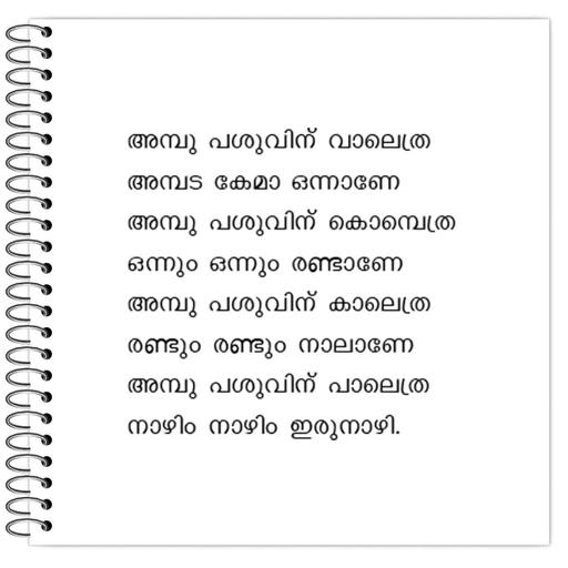 Picture of the product