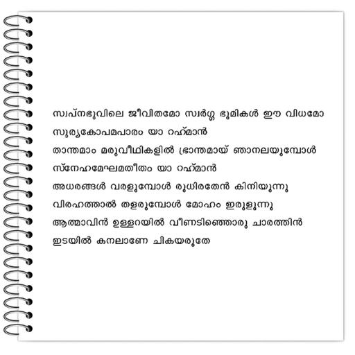 Picture of the product