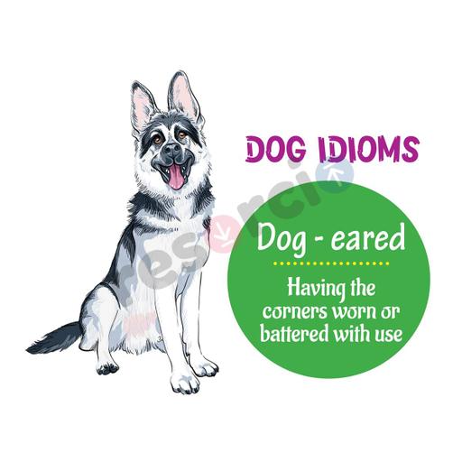 Picture of the product