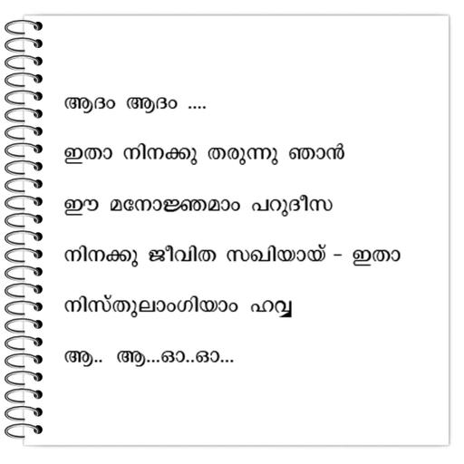 Picture of the product