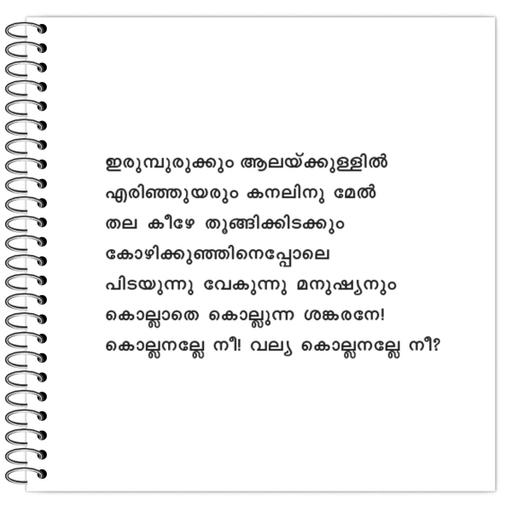 Picture of the product