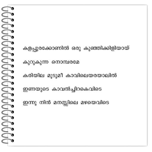 Picture of the product