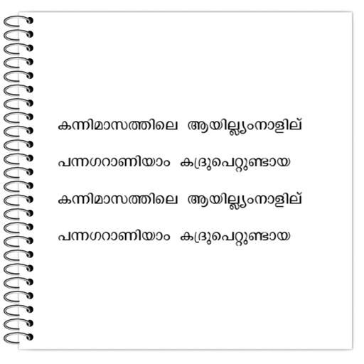 Picture of the product