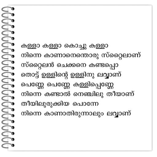 Picture of the product