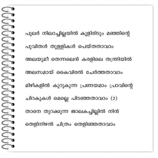 Picture of the product