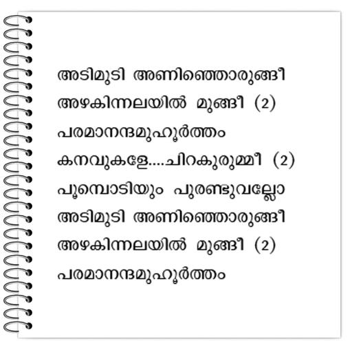 Picture of the product