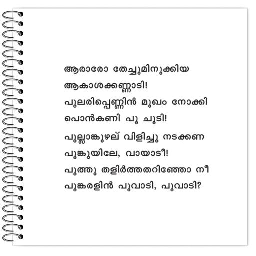 Picture of the product