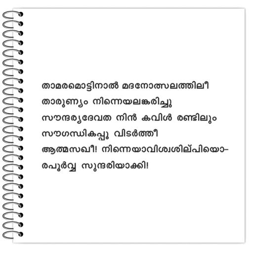 Picture of the product