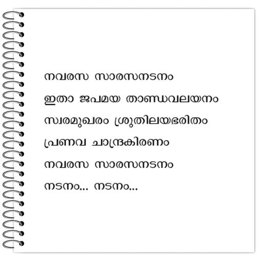 Picture of the product