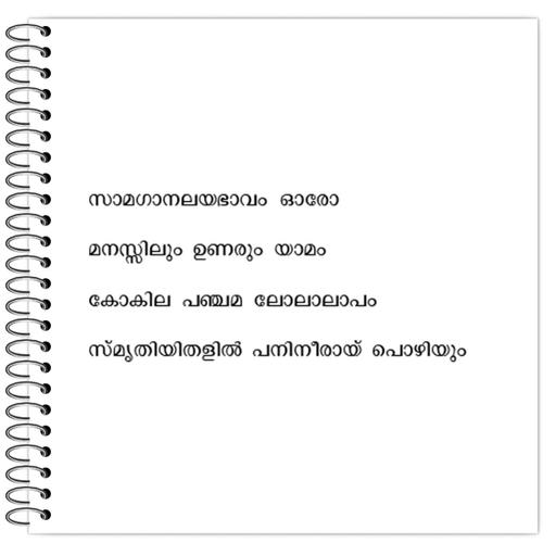 Picture of the product