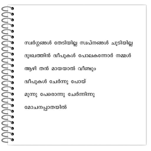 Picture of the product