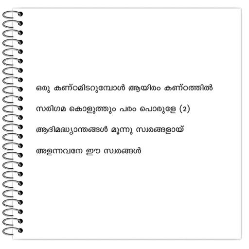 Picture of the product