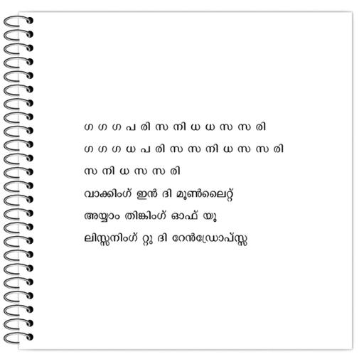 Picture of the product