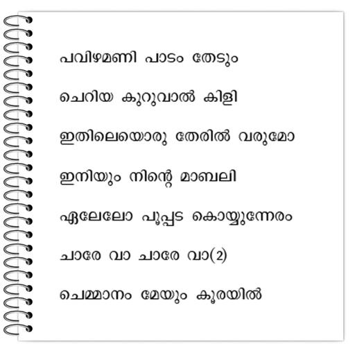 Picture of the product