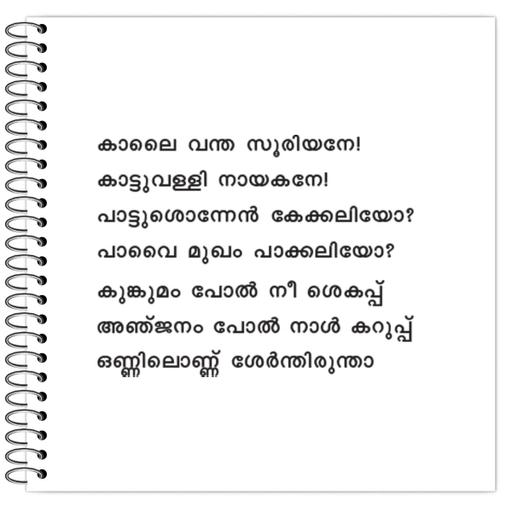 Picture of the product