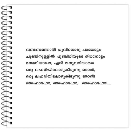 Picture of the product