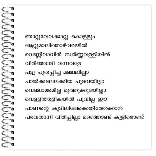 Picture of the product