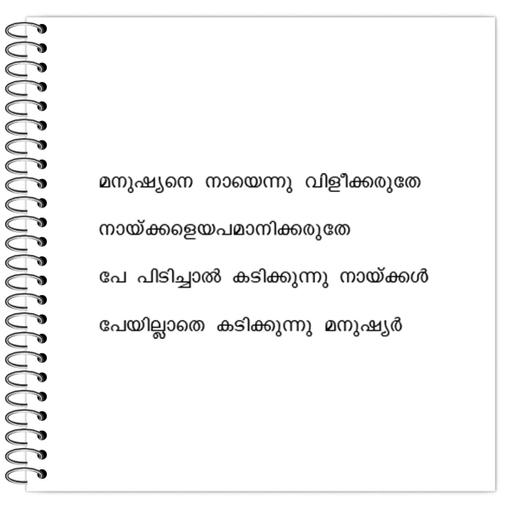 Picture of the product