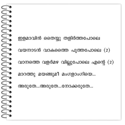 Picture of the product