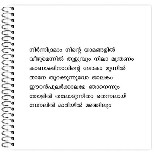 Picture of the product