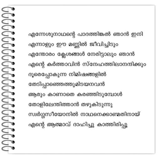 Picture of the product