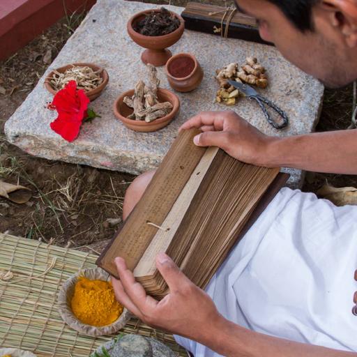 Picture of the product