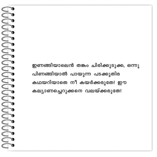 Picture of the product