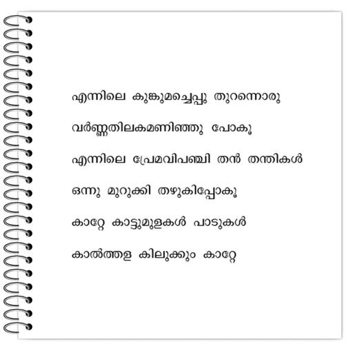 Picture of the product