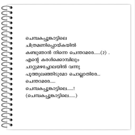 Picture of the product