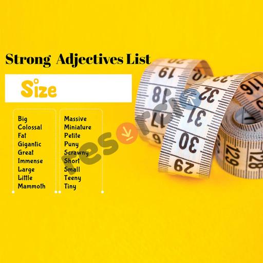 Picture of the product