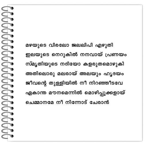 Picture of the product