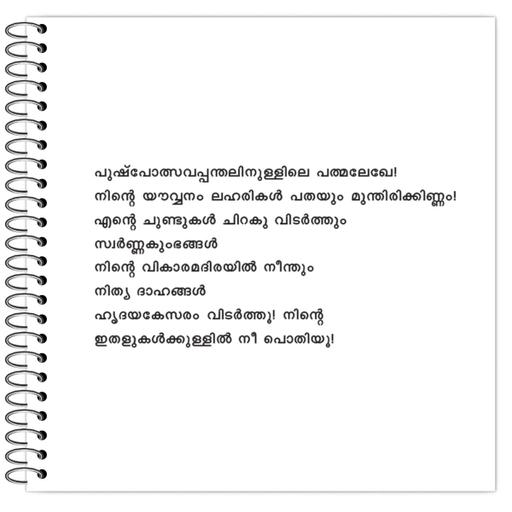 Picture of the product