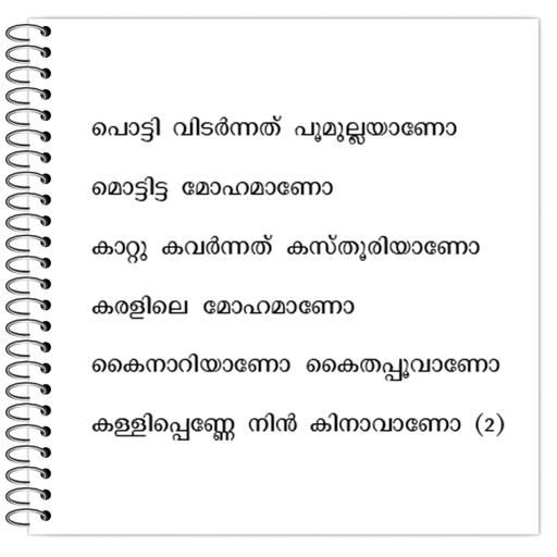 Picture of the product