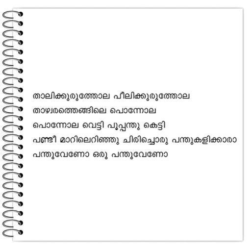 Picture of the product