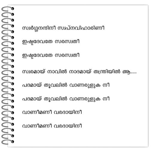 Picture of the product