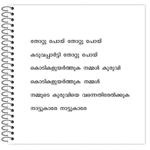 Picture of the product