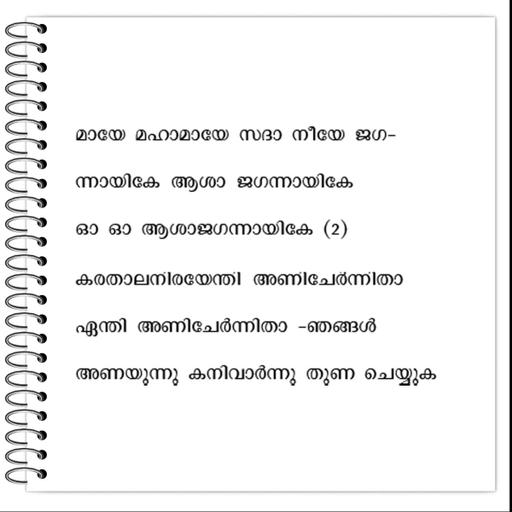 Picture of the product