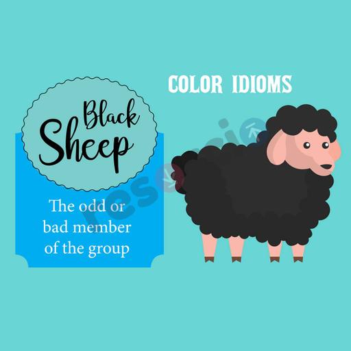 Picture of the product