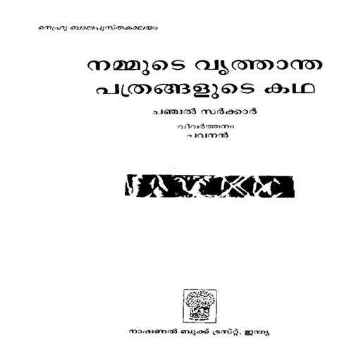 Picture of the product