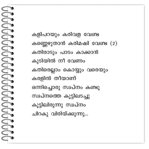 Picture of the product