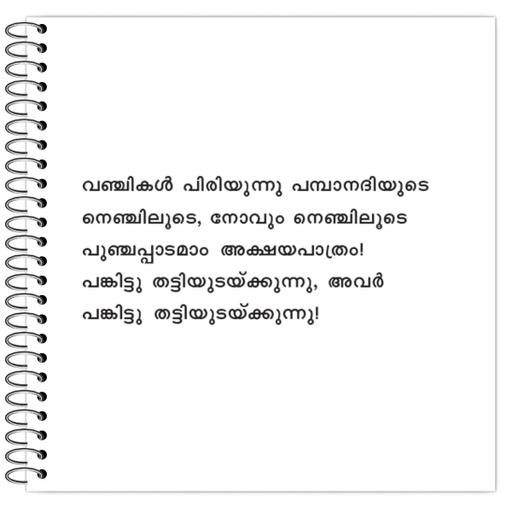 Picture of the product