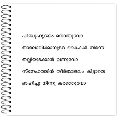 Picture of the product