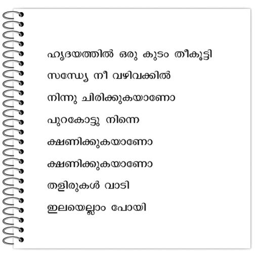 Picture of the product