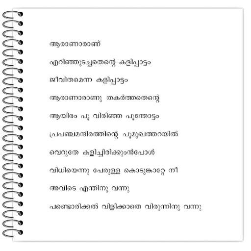 Picture of the product