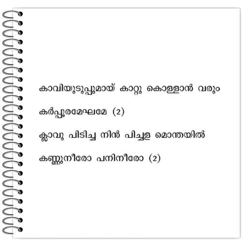 Picture of the product