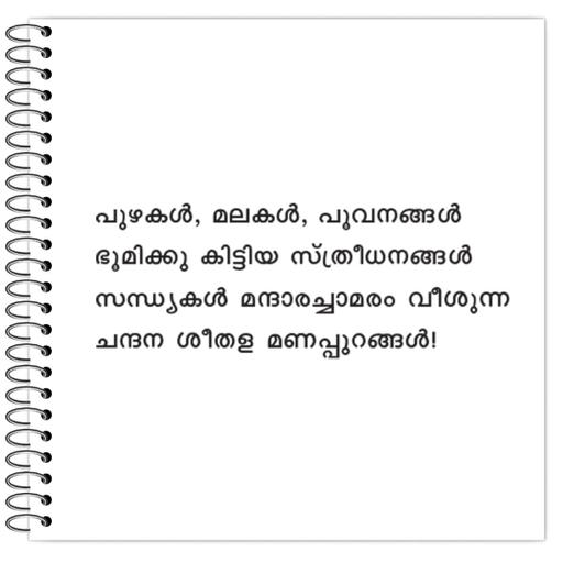 Picture of the product