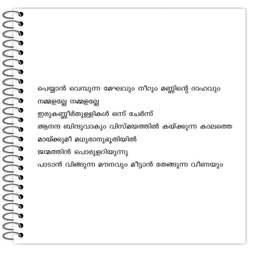 Picture of the product